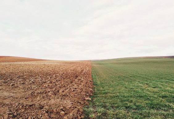 Cambiamenti climatici