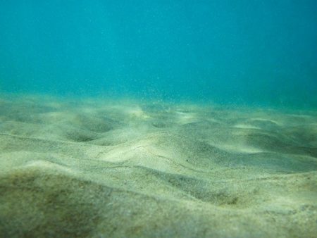 In fondo alla Fossa delle Marianne è stata trovata della plastica